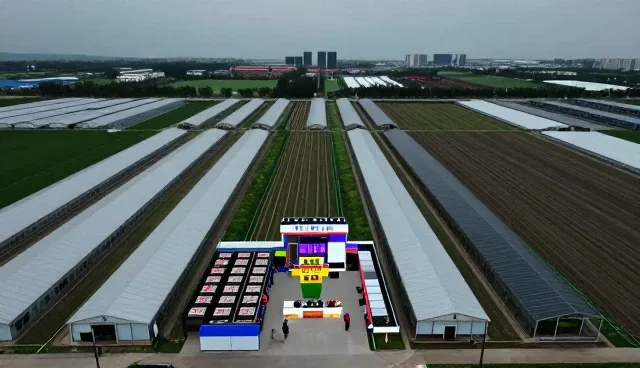 视频互动功能在定制视频中的常见问题及解决思路